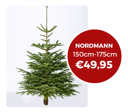 Uitsluiten vooroordeel Het kantoor Kerstboombesteld.nl | Echte kerstbomen online bestellen